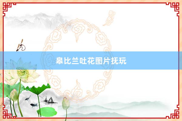 皋比兰吐花图片抚玩